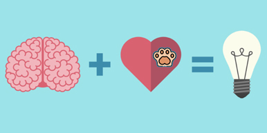 Marketing efectivo para negocios de mascotas