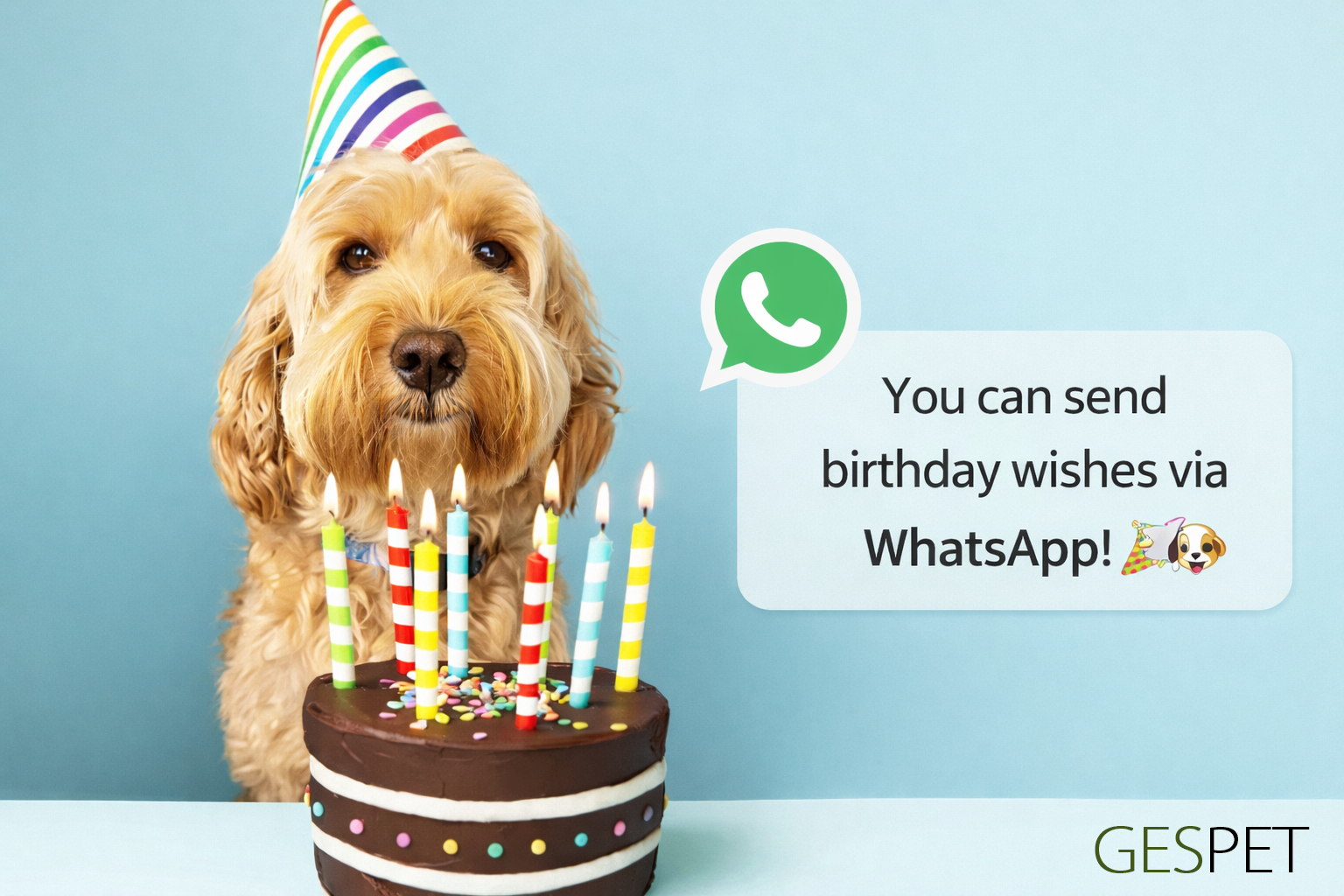 felicitar cumpleaños mascota whatsapp