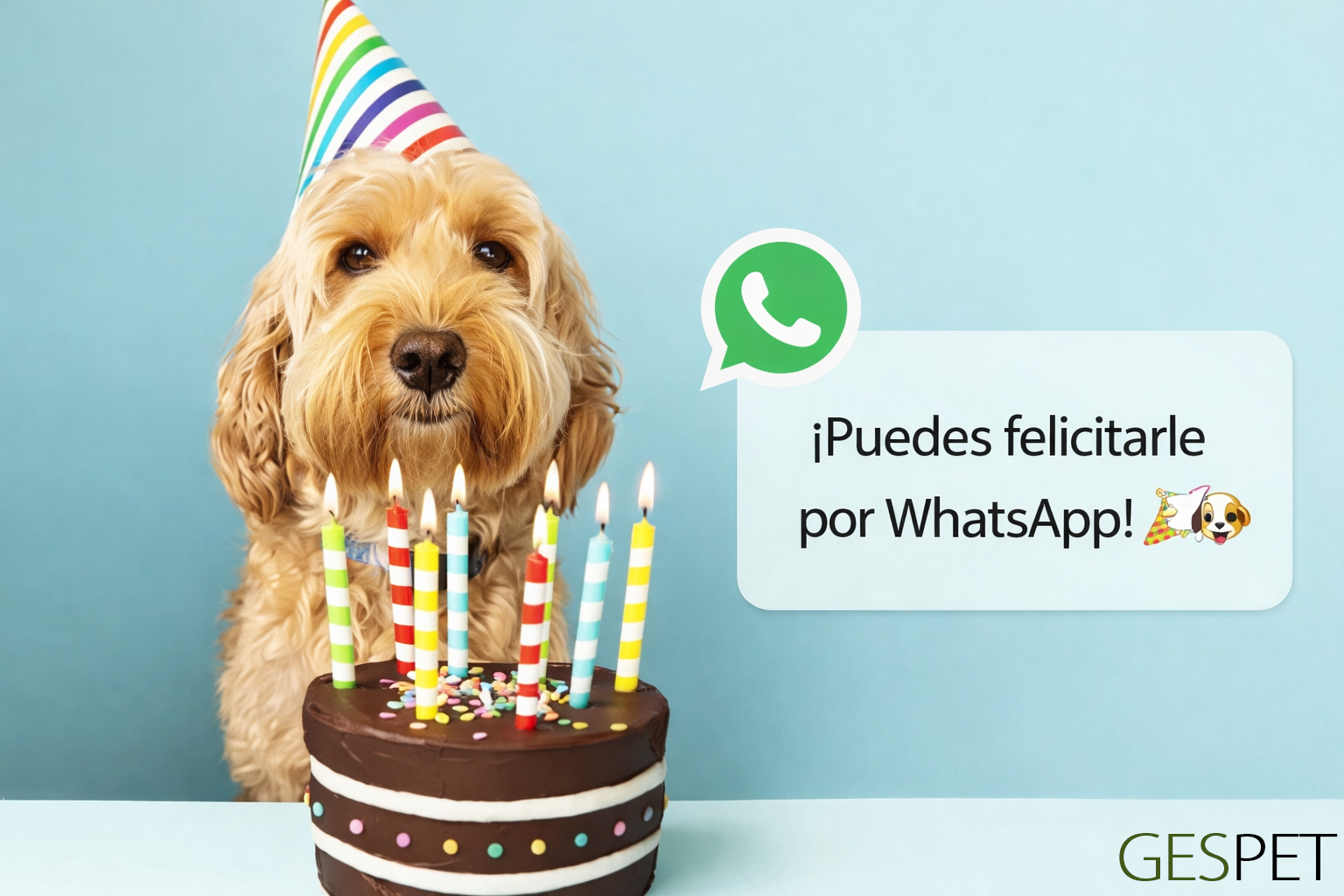felicitar cumpleaños mascota whatsapp