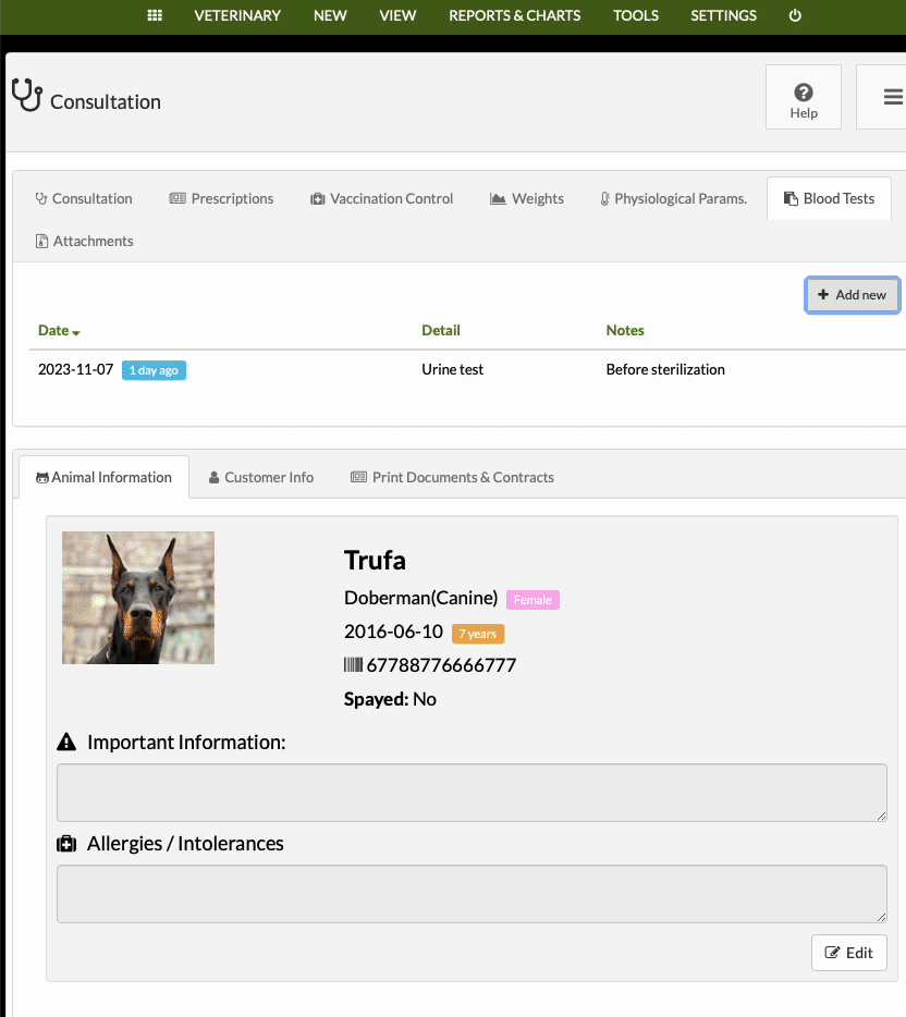 Tierarztverschreibung per E-Mail senden
