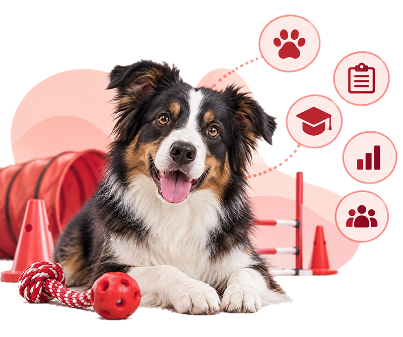 Programa para adiestradores caninos, entrenadores de agility y educadores de perros
