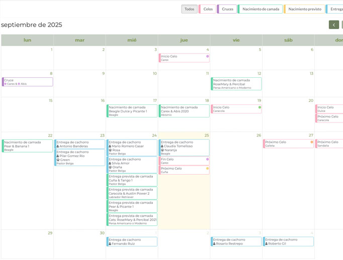 agenda criador