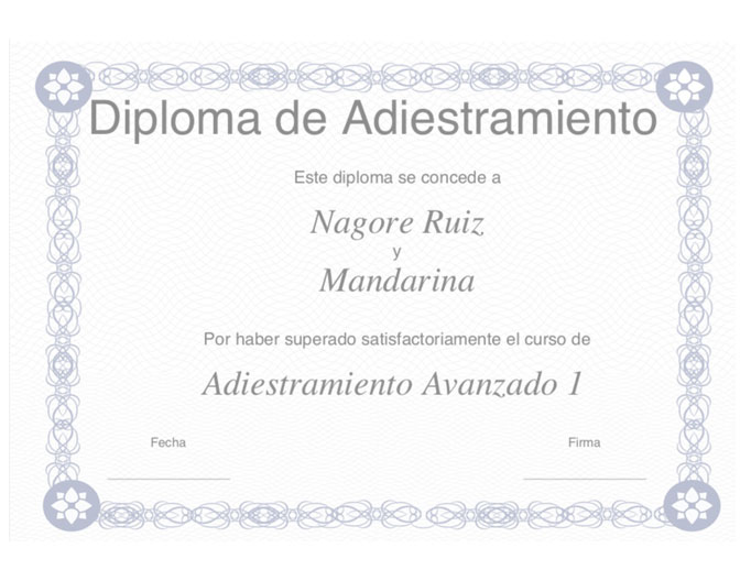 diploma adiestramiento