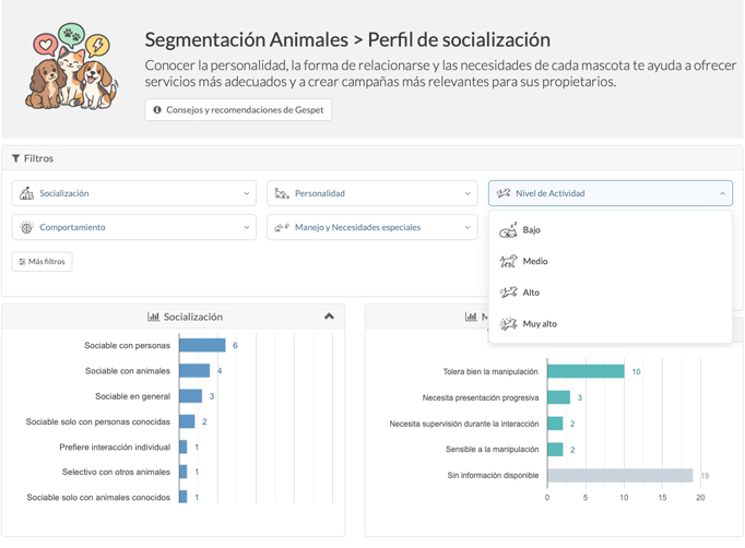 informe de ocupacion de hotel de perros