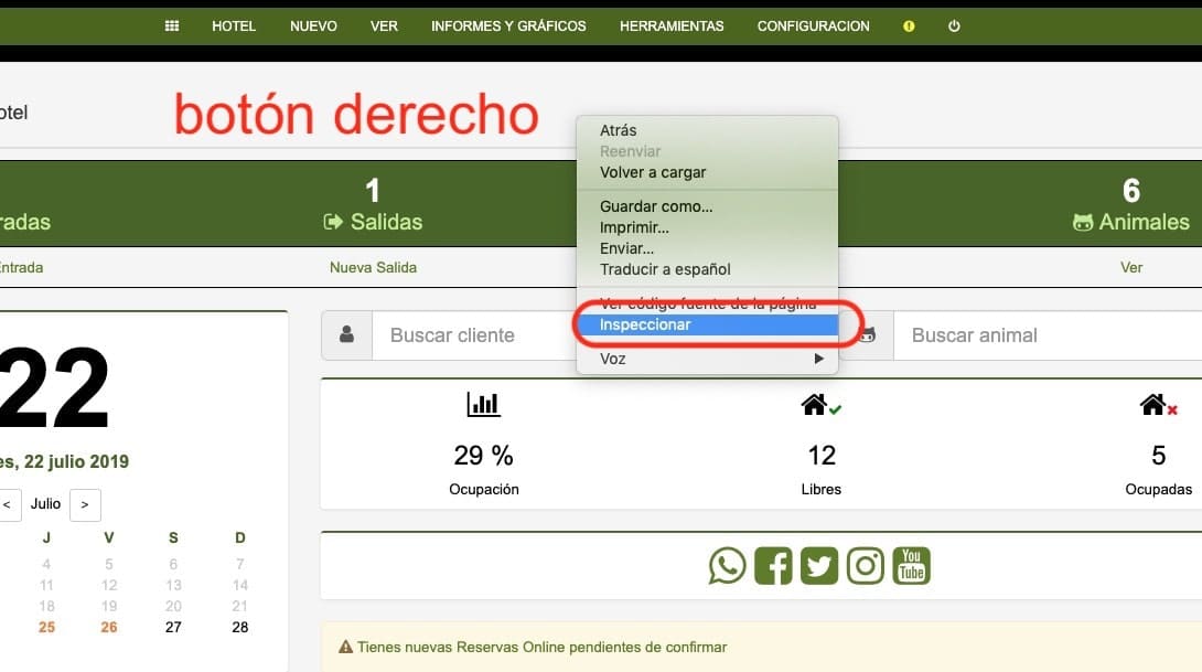 seguridad y protección de datos para software de negocios de mascotas - consola reportar errores 1