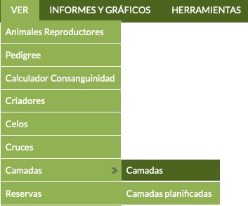 menú para ver camadas de perros y cachorros en Gespet Cría