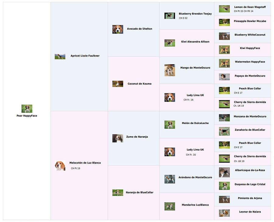 logiciel pedigree
