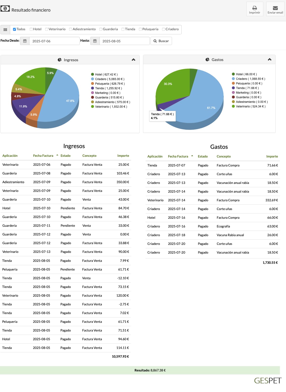 informe de rentabilidad y resultado financiero para negocios caninos