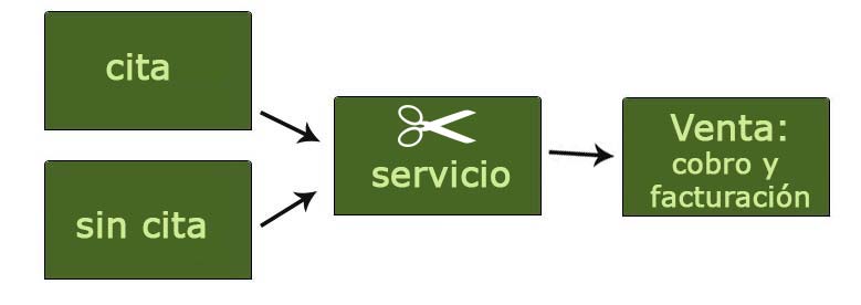 gestión de servicios de peluquería canina y peluquería de mascotas