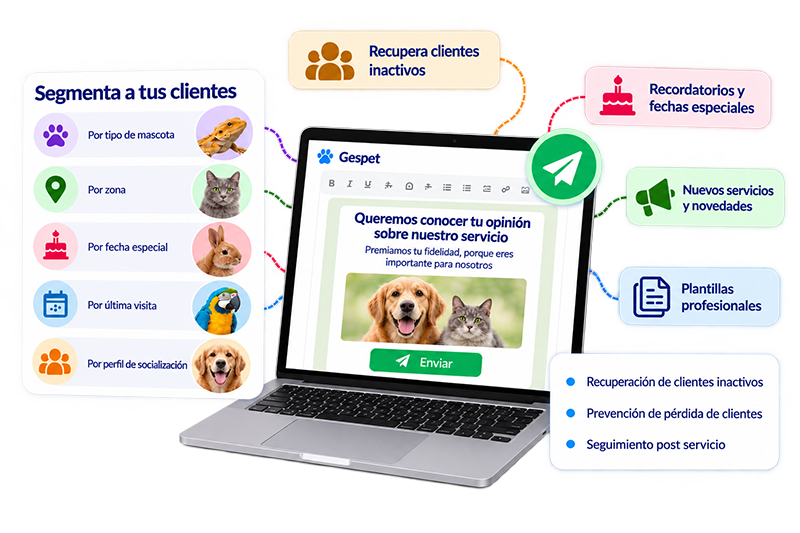 Campañas de email marketing de Gespet para segmentar clientes y fomentar nuevas visitas