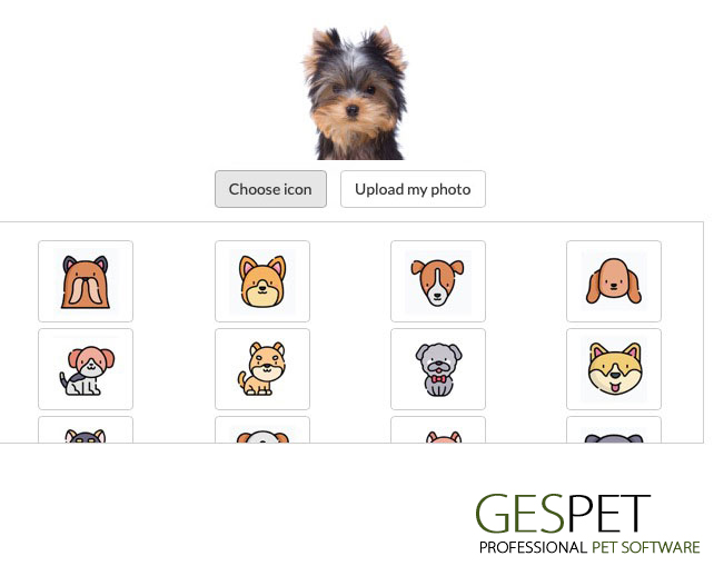 animal file software pet business photo breed