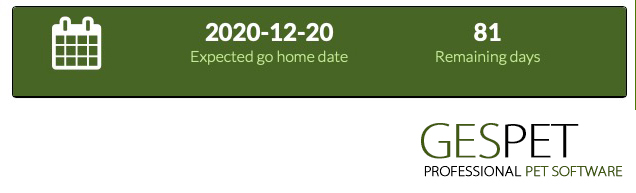 App for breeders: mating, heat, planned litters and puppies screenshot for dog breeding and pedigree software
