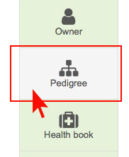 Pedigree software - inbreeding coefficient calculator screenshot for dog breeding and pedigree software
