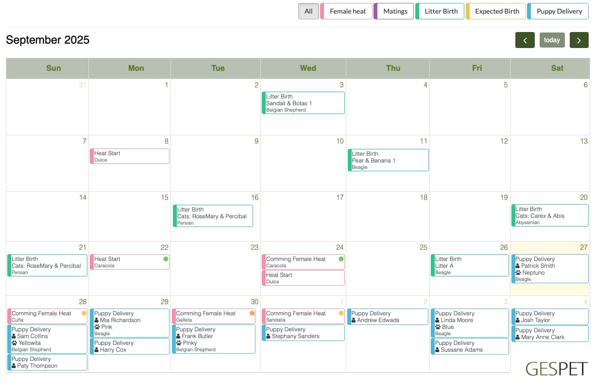 agenda criadores