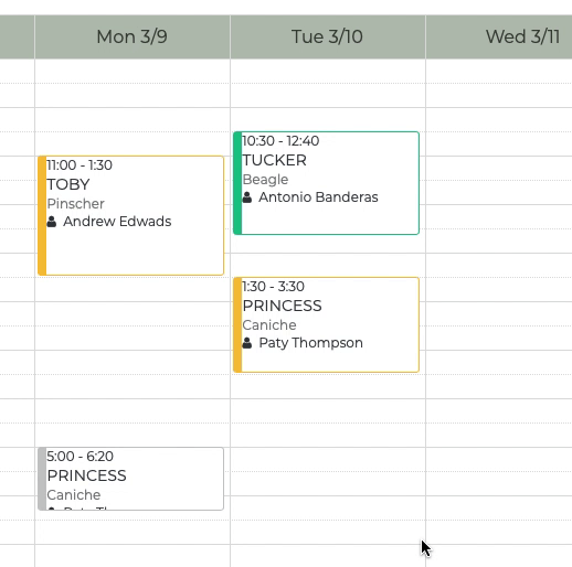 pet grooming schedule