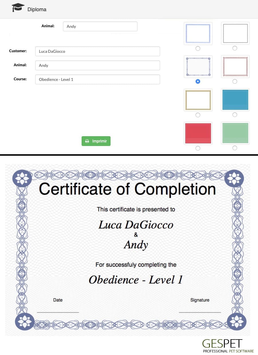 print free training diploma