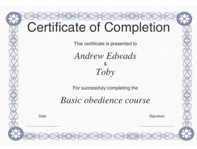 dog training certificate