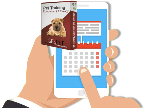 dog training software and ethology app for professional dog trainers - dog training software for trainers send notifications customers pet training