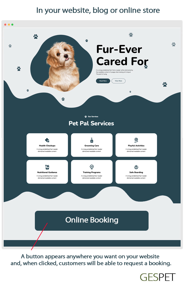 rentabilidad hotel gatos