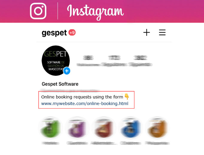 Instagram online booking link