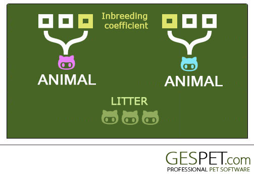 Animal breeding software configuration screenshot for dog breeding and pedigree software