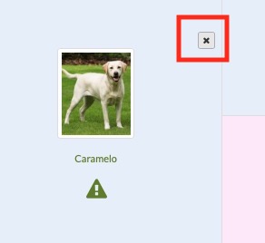 Pedigree software - inbreeding coefficient calculator screenshot for dog breeding and pedigree software