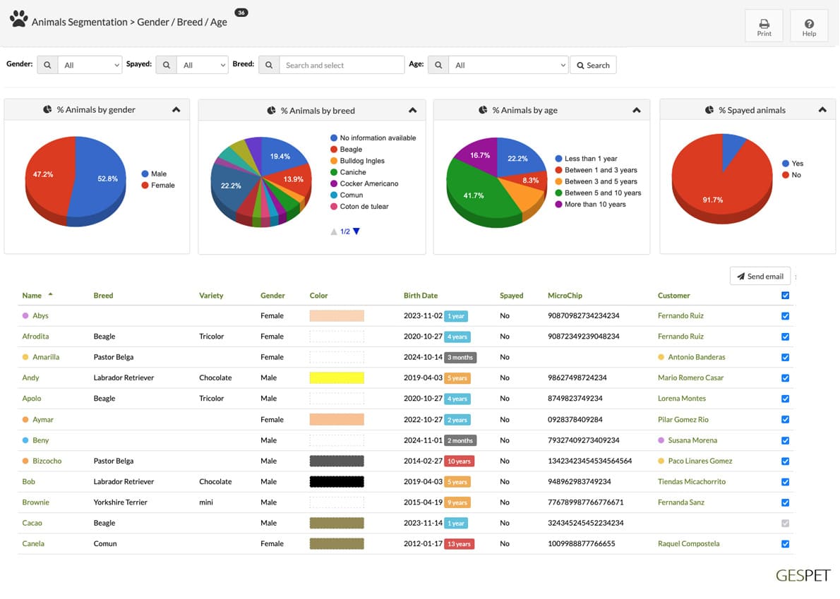 pet customer segmentation report