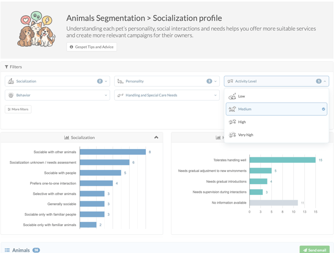 pet customer segmentation report