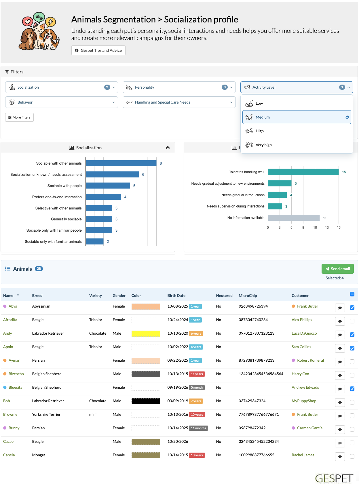 Pet socialization and activity segmentation report for targeted email marketing campaigns in pet care businesses