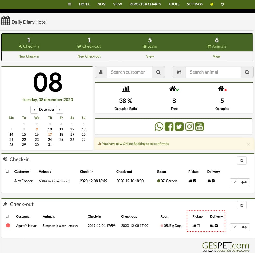 pet transport management dashboard