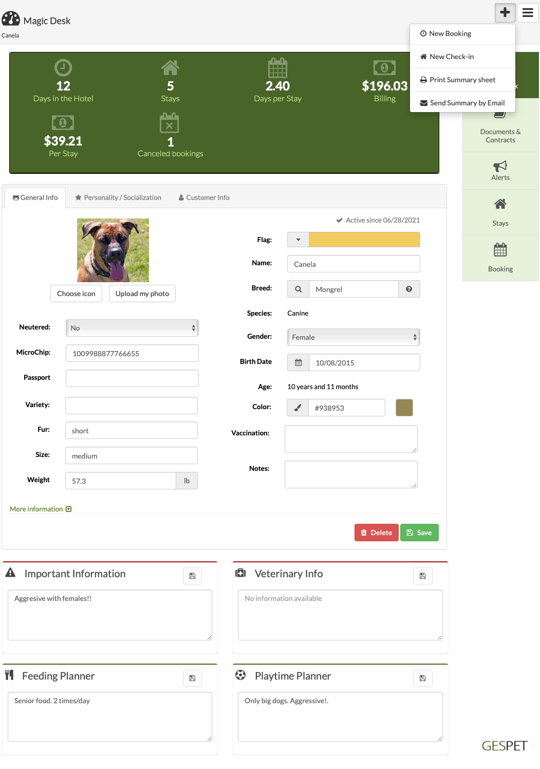 pet grooming dog profile