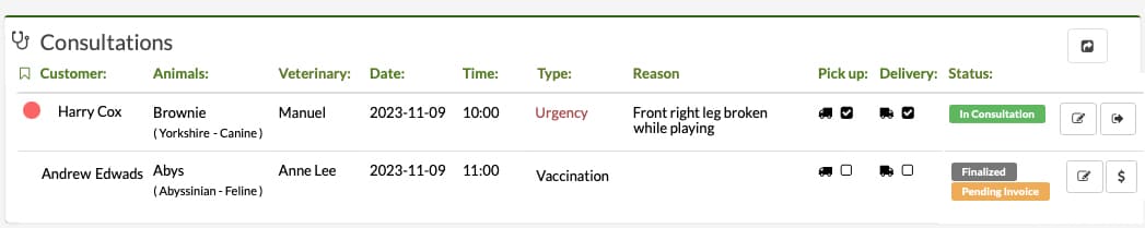 veterinarian appointments and consultations