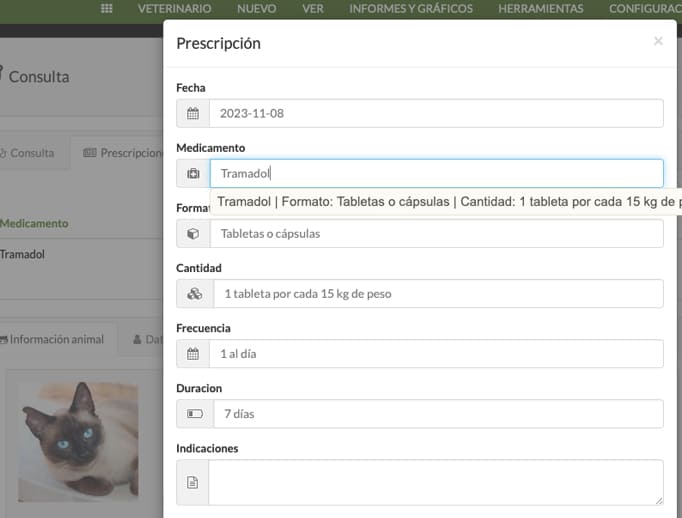 veterinary prescription template