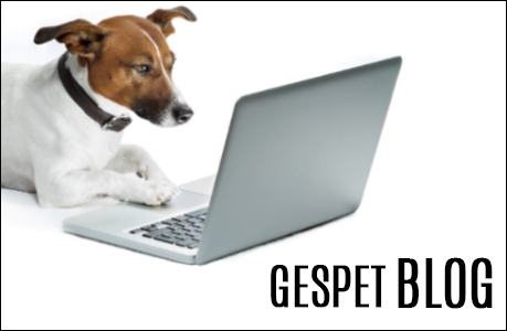 Blog Gespet avec conseils pour professionnels des animaux