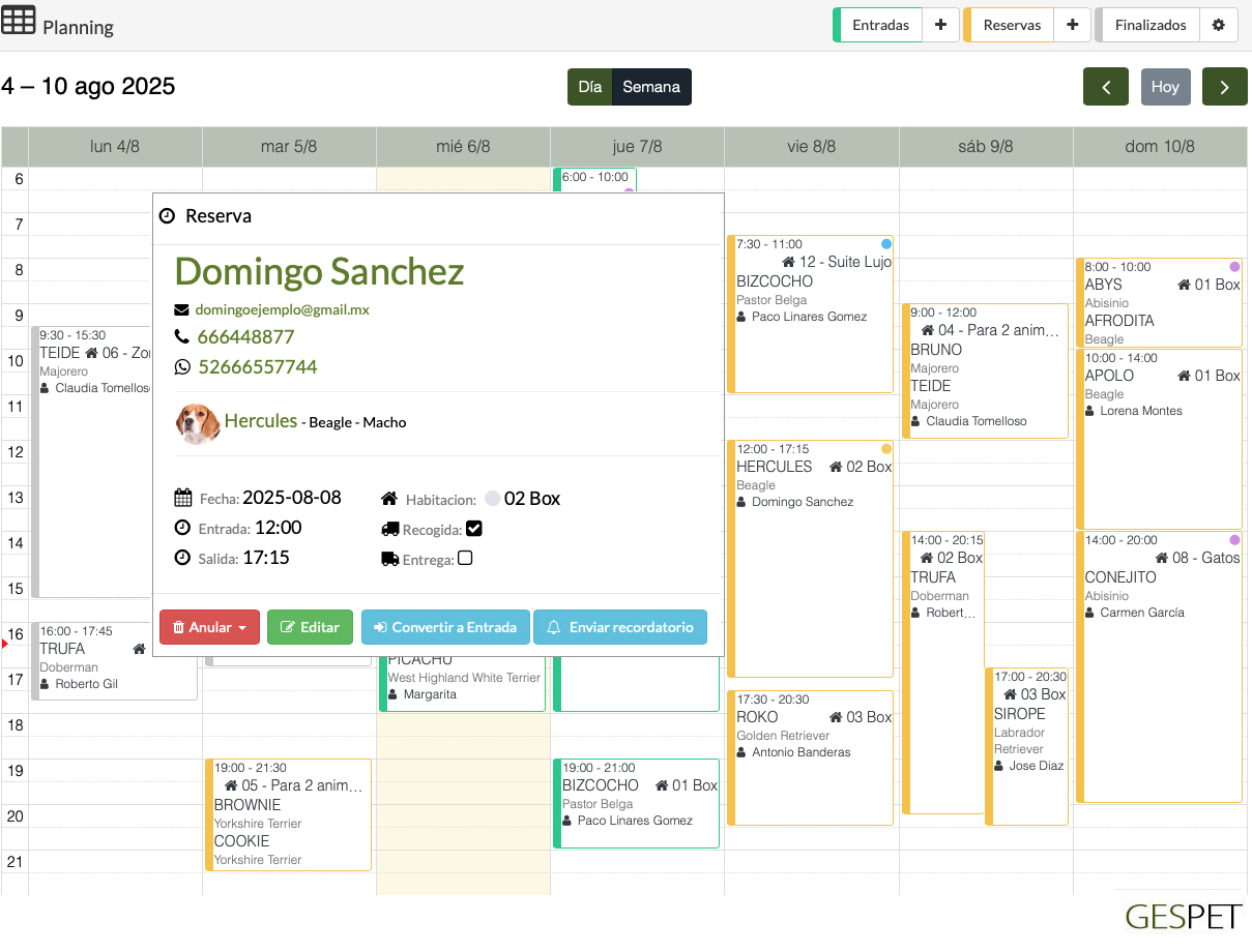 rentabilidad hotel gatos