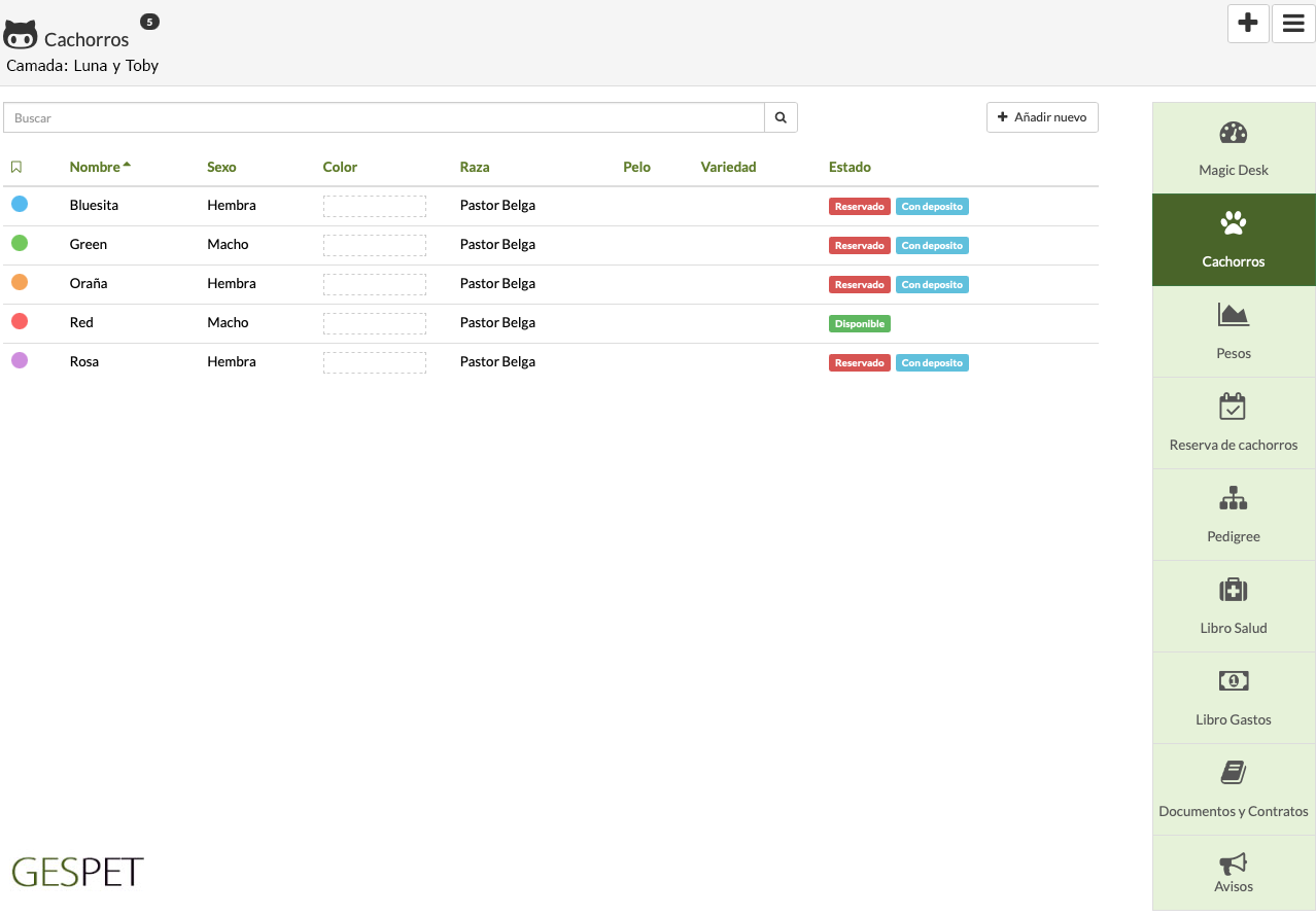 rentabilidad hotel gatos