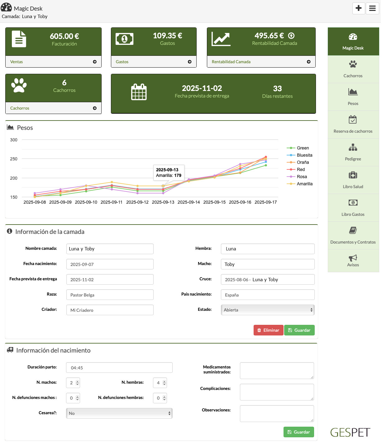 rentabilidad hotel gatos