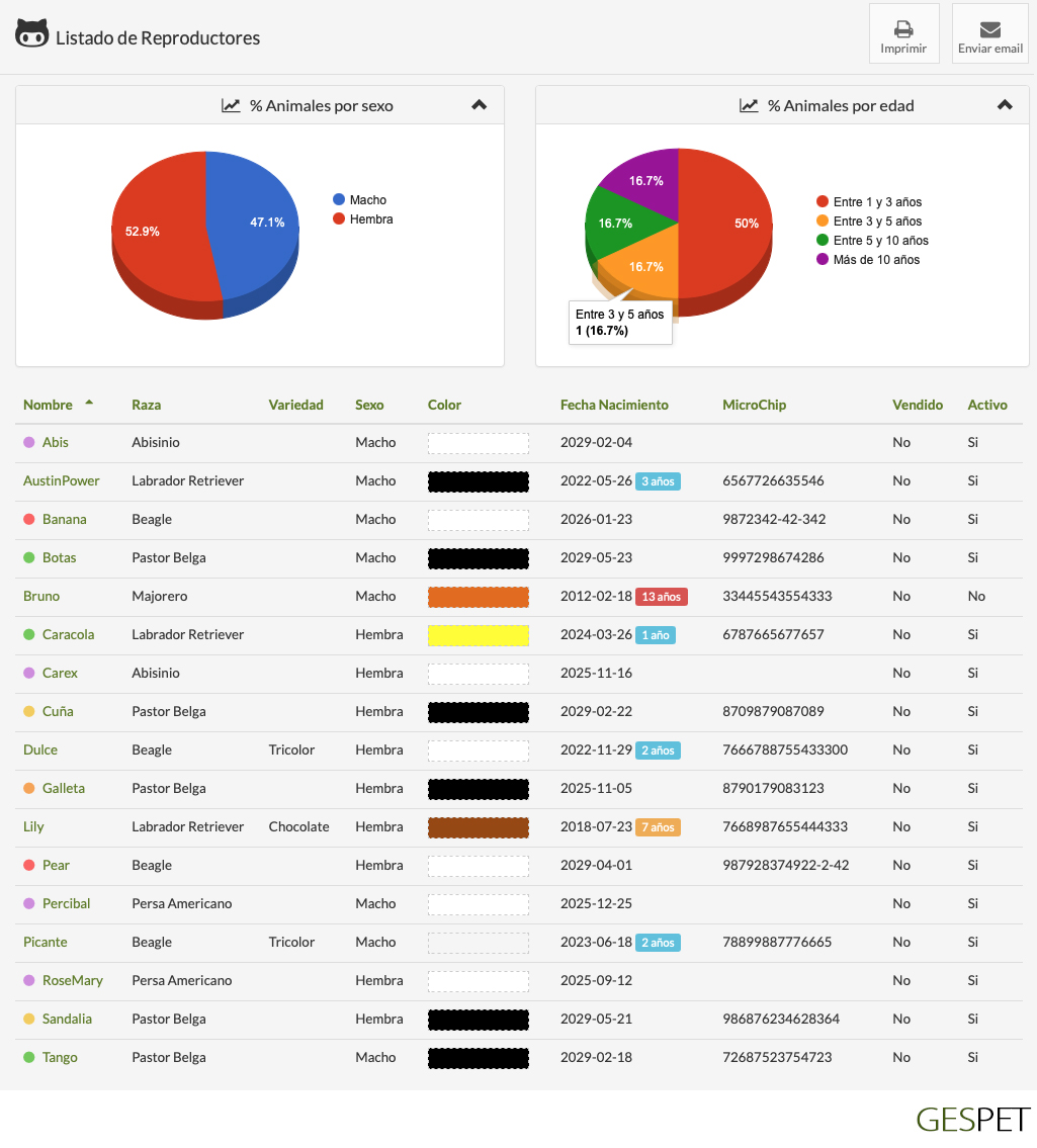 rentabilidad hotel gatos