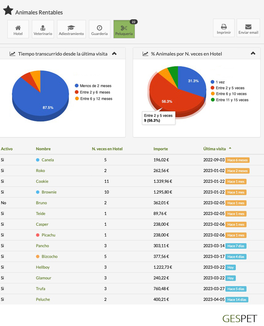 rentabilidad hotel gatos