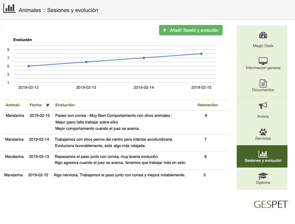 rentabilidad hotel gatos