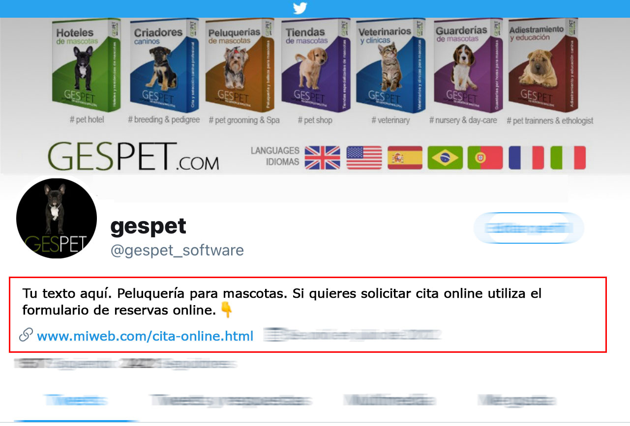 rentabilidad hotel gatos