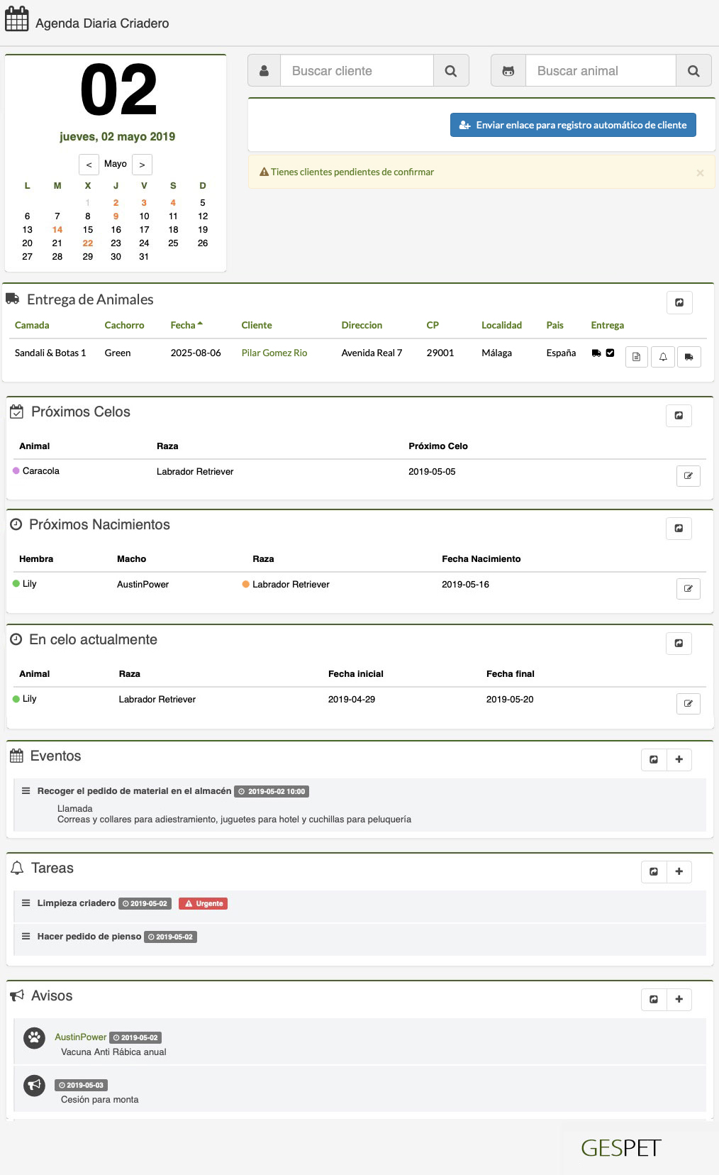 rentabilidad hotel gatos