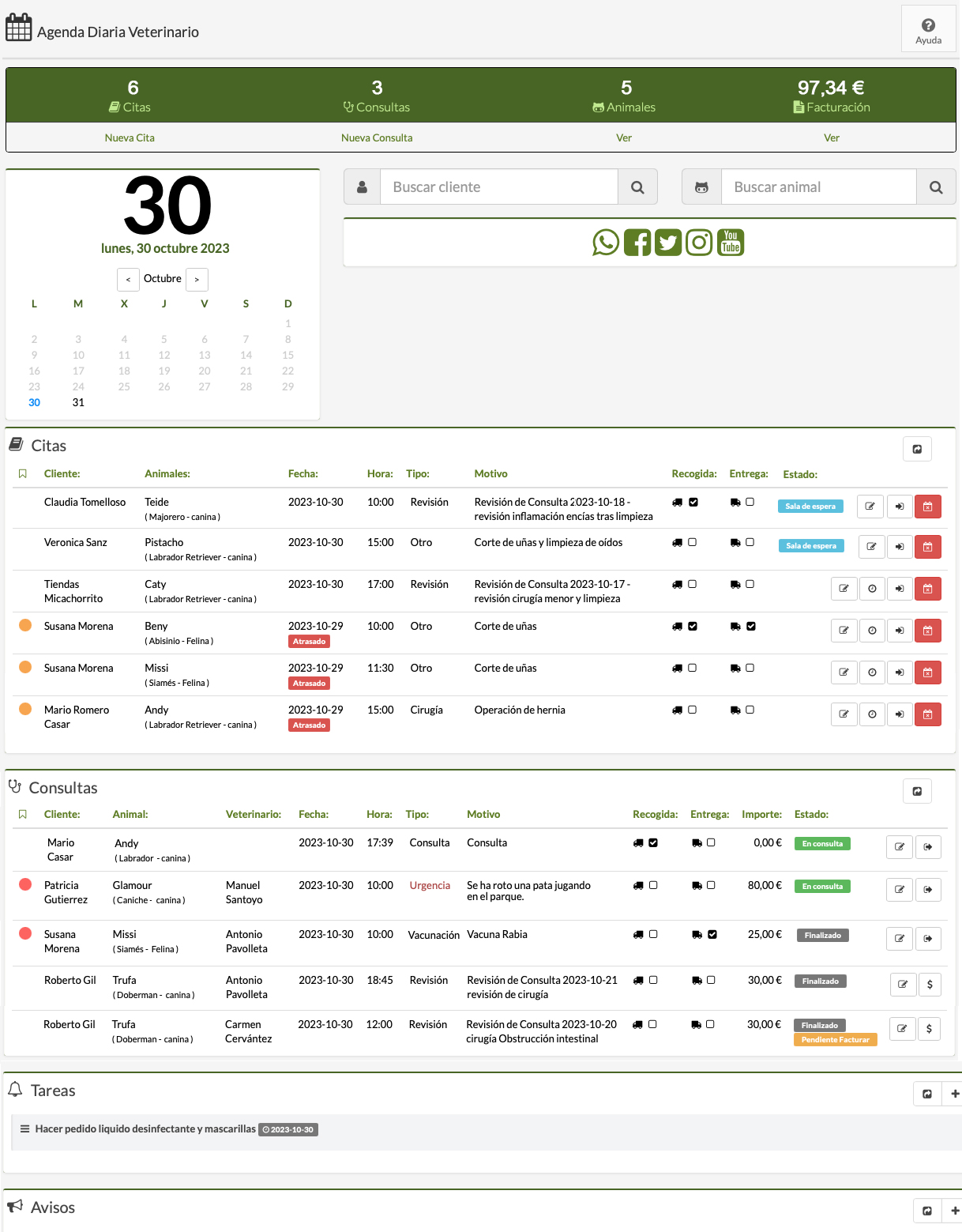 rentabilidad hotel gatos