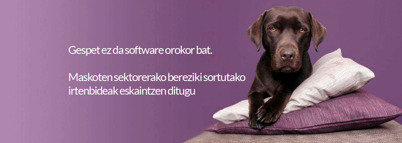 Mezu automatikoak bezeroentzat