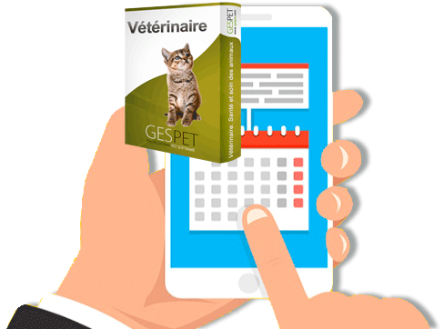 Envoi de rappels automatiques pour clinique vétérinaire