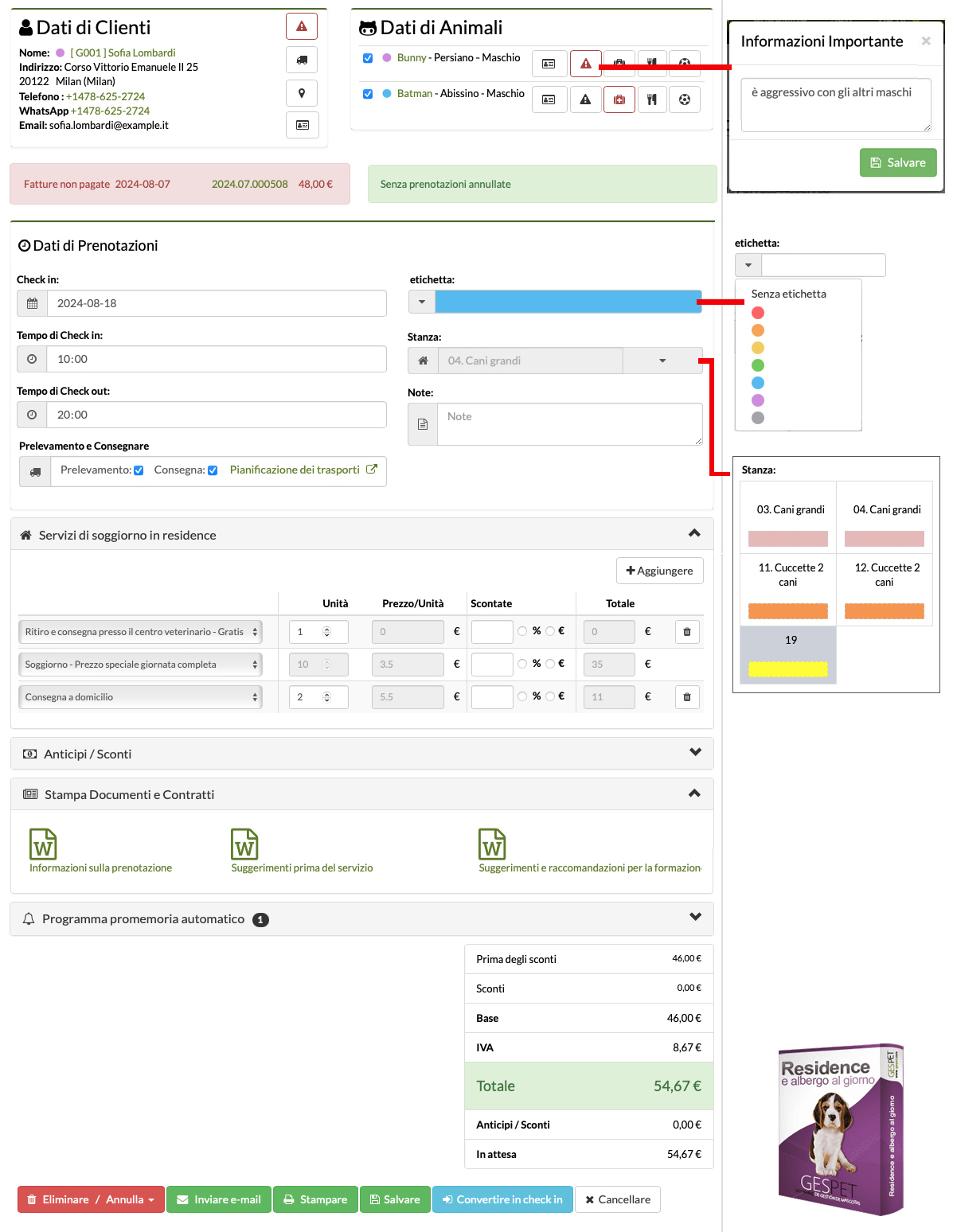 check-in del cane all'asilo per animali