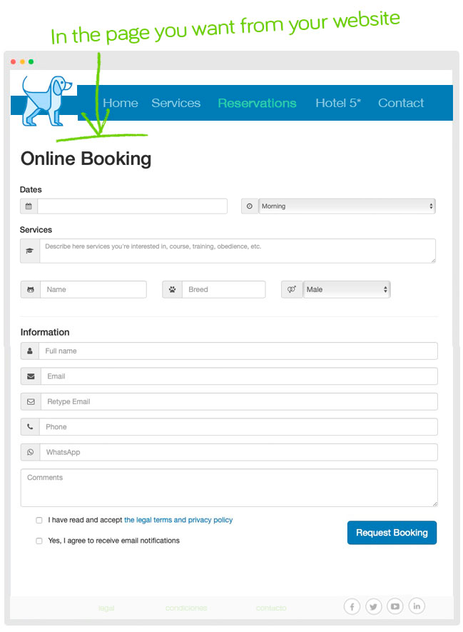 rentabilidad adiestramiento gatos