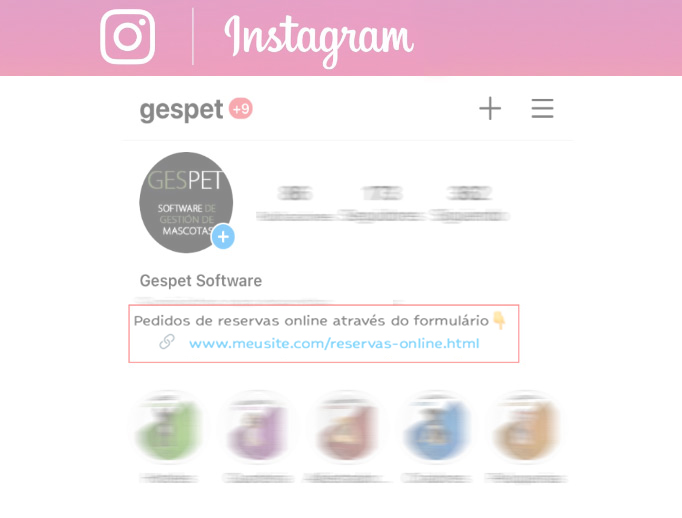Instagram online booking link